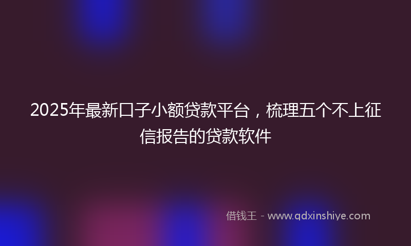 2025年最新口子小额贷款平台，梳理五个不上征信报告的贷款软件