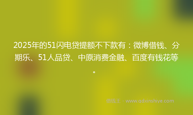 2025年的51闪电贷提额不下款有：微博借钱、分期乐、51人品贷、中原消费金融、百度有钱花等。