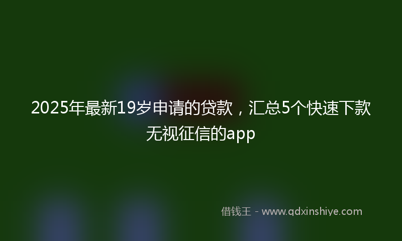 2025年最新19岁申请的贷款，汇总5个快速下款无视征信的app