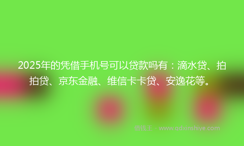 2025年的凭借手机号可以贷款吗有：滴水贷、拍拍贷、京东金融、维信卡卡贷、安逸花等。