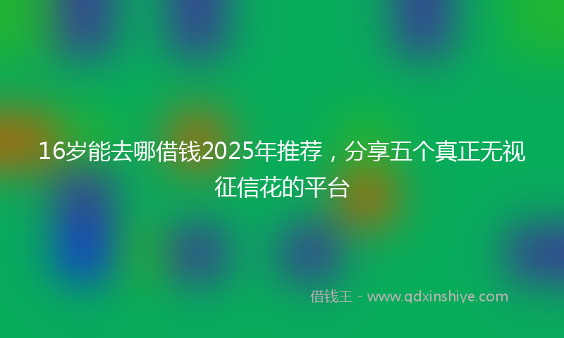 16岁能去哪借钱2025年推荐，分享五个真正无视征信花的平台