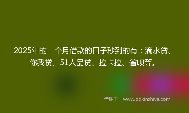 2025年的一个月借款的口子秒到的有：滴水贷、你我贷、51人品贷、拉卡拉、省呗等。