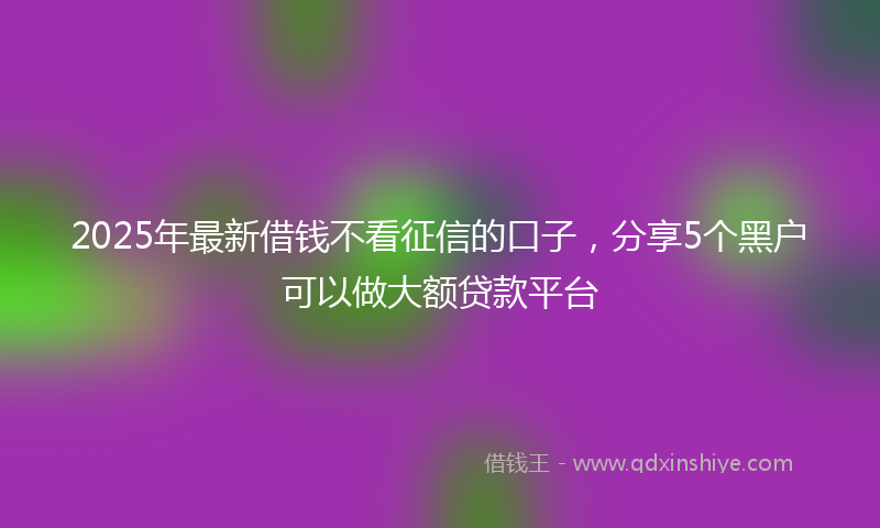 2025年最新借钱不看征信的口子，分享5个黑户可以做大额贷款平台