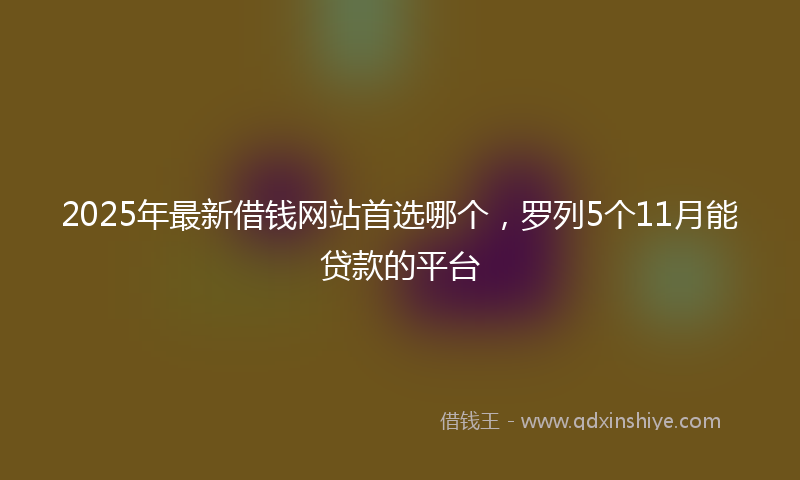 2025年最新借钱网站首选哪个，罗列5个11月能贷款的平台