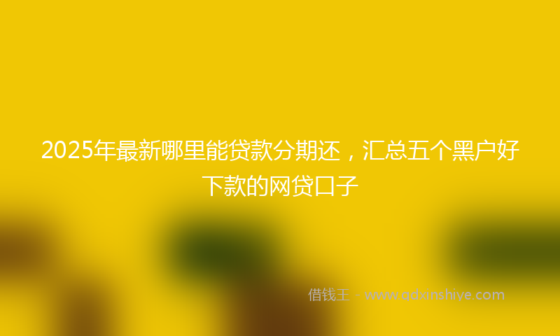 2025年最新哪里能贷款分期还，汇总五个黑户好下款的网贷口子