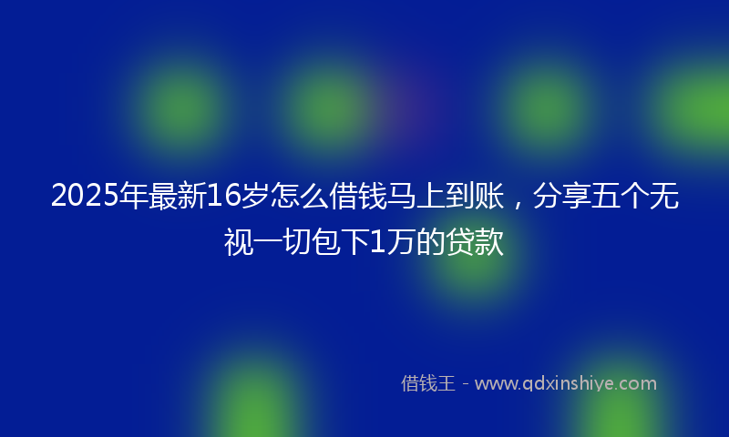 2025年最新16岁怎么借钱马上到账，分享五个无视一切包下1万的贷款