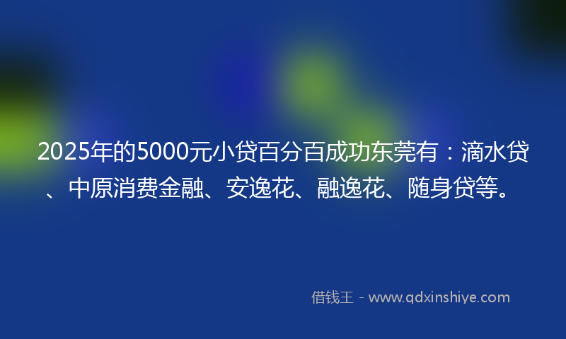 2025年的5000元小贷百分百成功东莞有：滴水贷、中原消费金融、安逸花、融逸花、随身贷等。