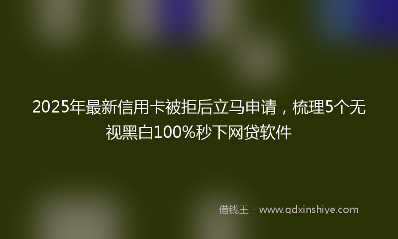 2025年最新信用卡被拒后立马申请，梳理5个无视黑白100%秒下网贷软件