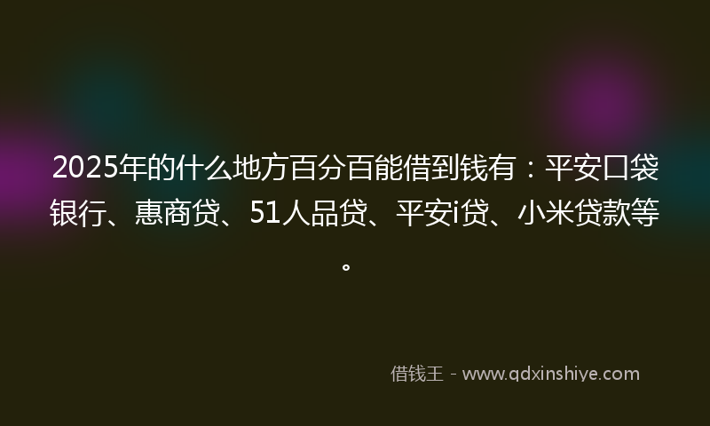 2025年的什么地方百分百能借到钱有：平安口袋银行、惠商贷、51人品贷、平安i贷、小米贷款等。