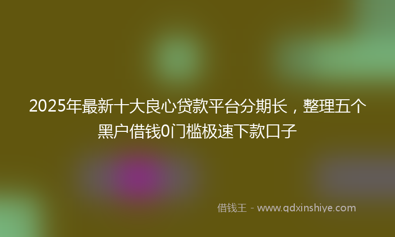 2025年最新十大良心贷款平台分期长，整理五个黑户借钱0门槛极速下款口子