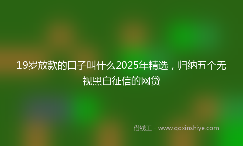 19岁放款的口子叫什么2025年精选，归纳五个无视黑白征信的网贷