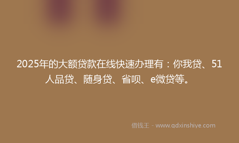 2025年的大额贷款在线快速办理有：你我贷、51人品贷、随身贷、省呗、e微贷等。