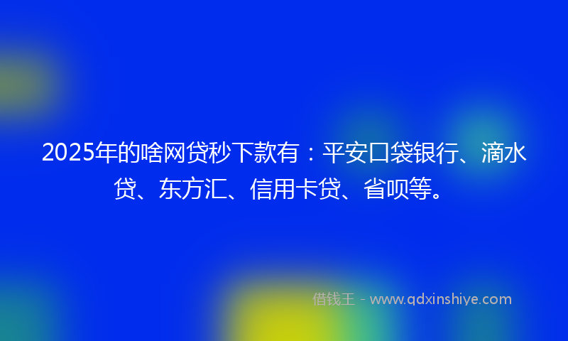 2025年的啥网贷秒下款有：平安口袋银行、滴水贷、东方汇、信用卡贷、省呗等。