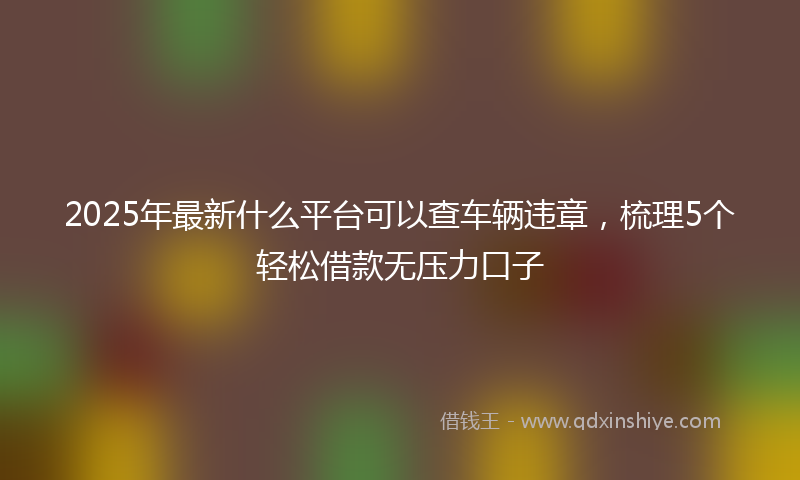 2025年最新什么平台可以查车辆违章，梳理5个轻松借款无压力口子