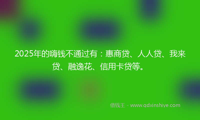2025年的嗨钱不通过有：惠商贷、人人贷、我来贷、融逸花、信用卡贷等。