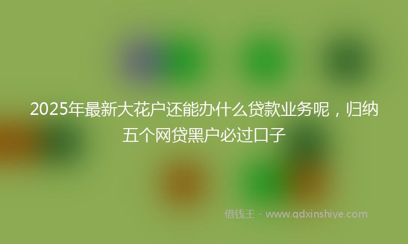 2025年最新大花户还能办什么贷款业务呢，归纳五个网贷黑户必过口子