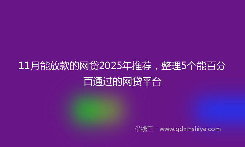 11月能放款的网贷2025年推荐，整理5个能百分百通过的网贷平台