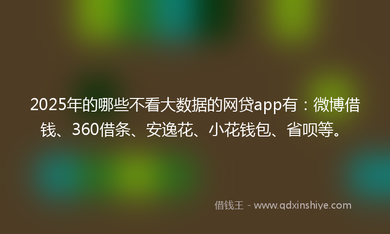 2025年的哪些不看大数据的网贷app有：微博借钱、360借条、安逸花、小花钱包、省呗等。