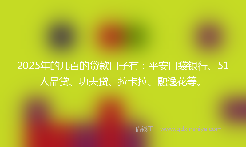 2025年的几百的贷款口子有：平安口袋银行、51人品贷、功夫贷、拉卡拉、融逸花等。