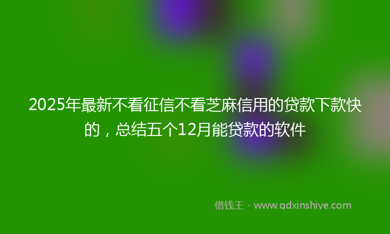 2025年最新不看征信不看芝麻信用的贷款下款快的，总结五个12月能贷款的软件