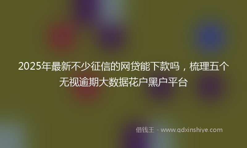 2025年最新不少征信的网贷能下款吗，梳理五个无视逾期大数据花户黑户平台