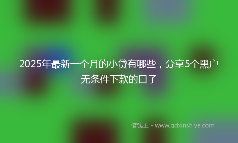 2025年最新一个月的小贷有哪些，分享5个黑户无条件下款的口子