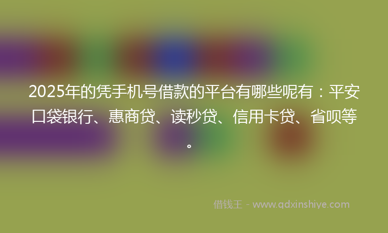 2025年的凭手机号借款的平台有哪些呢有：平安口袋银行、惠商贷、读秒贷、信用卡贷、省呗等。