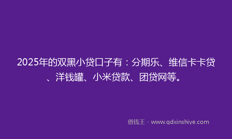 2025年的双黑小贷口子有：分期乐、维信卡卡贷、洋钱罐、小米贷款、团贷网等。