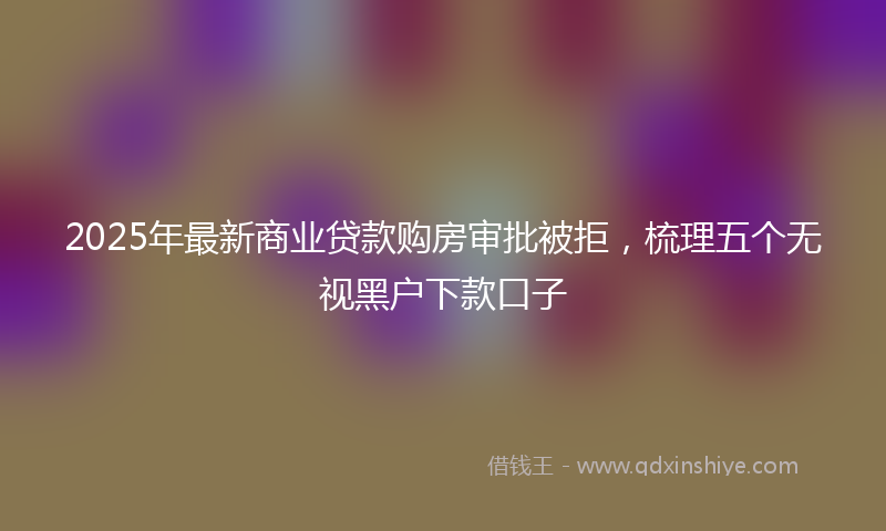 2025年最新商业贷款购房审批被拒，梳理五个无视黑户下款口子