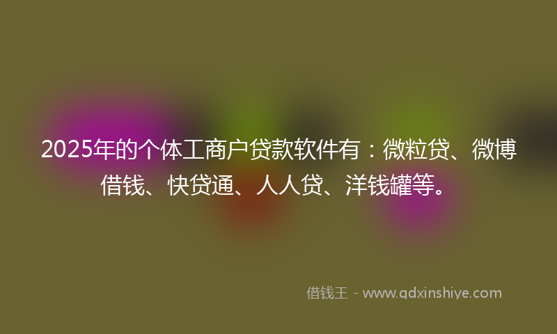 2025年的个体工商户贷款软件有：微粒贷、微博借钱、快贷通、人人贷、洋钱罐等。