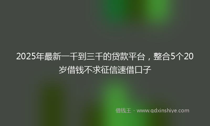 2025年最新一千到三千的贷款平台，整合5个20岁借钱不求征信速借口子