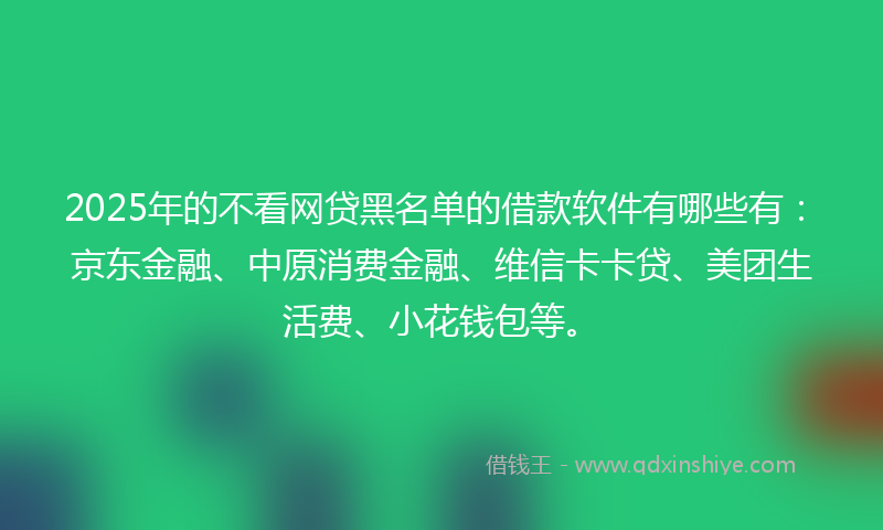 2025年的不看网贷黑名单的借款软件有哪些有：京东金融、中原消费金融、维信卡卡贷、美团生活费、小花钱包等。