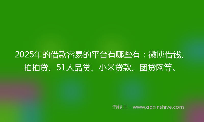 2025年的借款容易的平台有哪些有：微博借钱、拍拍贷、51人品贷、小米贷款、团贷网等。