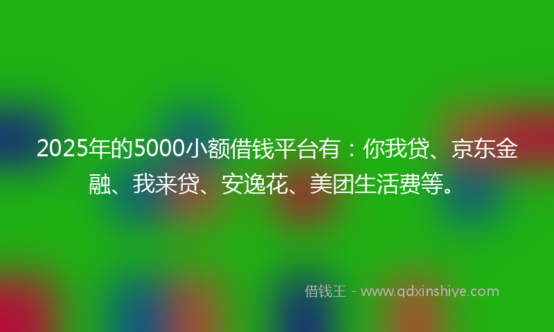 2025年的5000小额借钱平台有：你我贷、京东金融、我来贷、安逸花、美团生活费等。