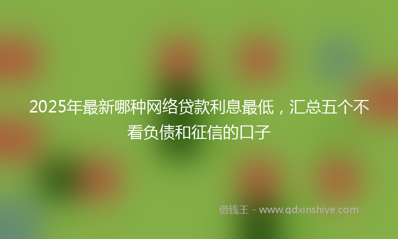 2025年最新哪种网络贷款利息最低，汇总五个不看负债和征信的口子
