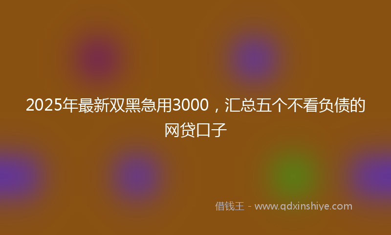 2025年最新双黑急用3000，汇总五个不看负债的网贷口子