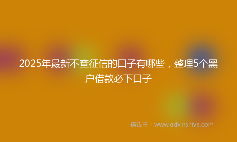 2025年最新不查征信的口子有哪些，整理5个黑户借款必下口子