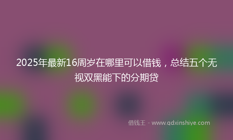 2025年最新16周岁在哪里可以借钱，总结五个无视双黑能下的分期贷