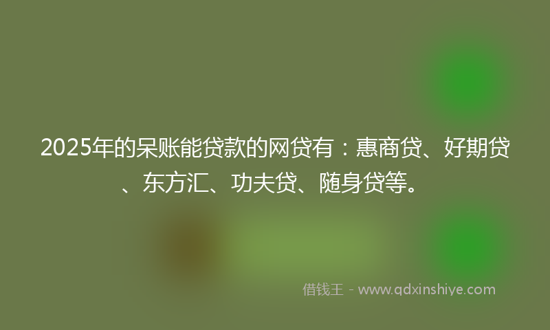 2025年的呆账能贷款的网贷有：惠商贷、好期贷、东方汇、功夫贷、随身贷等。