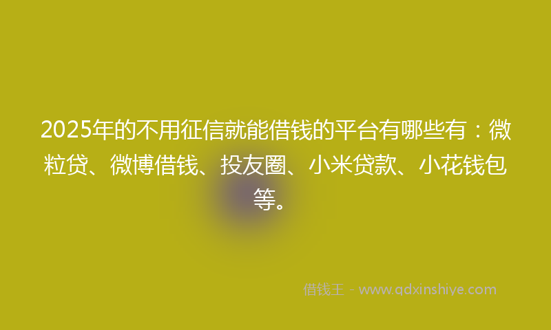 2025年的不用征信就能借钱的平台有哪些有：微粒贷、微博借钱、投友圈、小米贷款、小花钱包等。