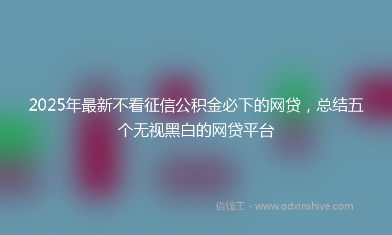 2025年最新不看征信公积金必下的网贷，总结五个无视黑白的网贷平台
