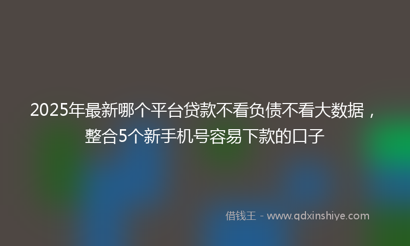 2025年最新哪个平台贷款不看负债不看大数据，整合5个新手机号容易下款的口子