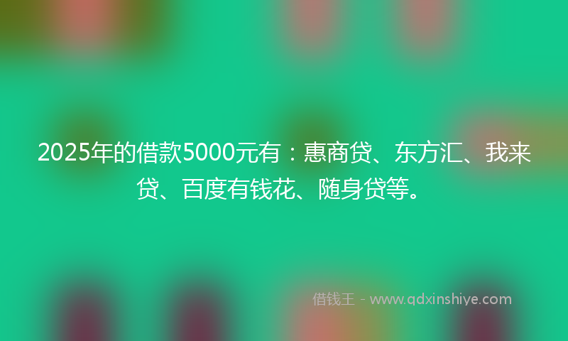 2025年的借款5000元有：惠商贷、东方汇、我来贷、百度有钱花、随身贷等。