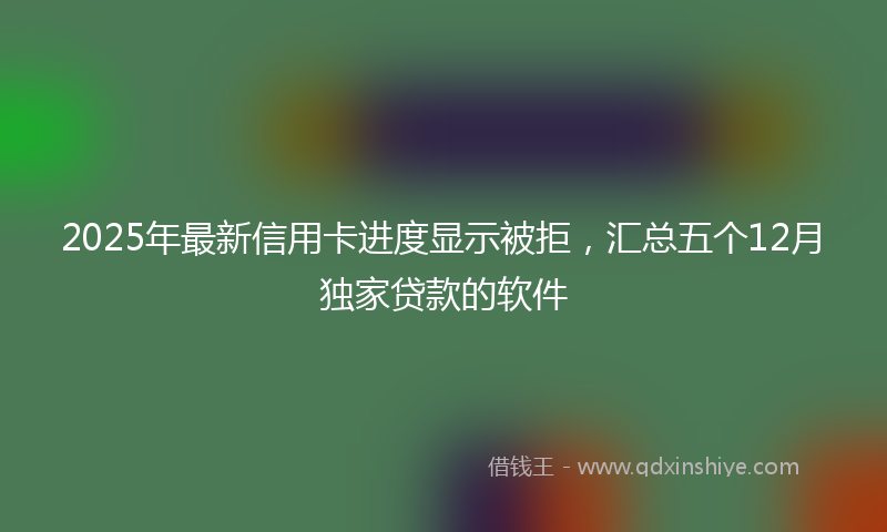 2025年最新信用卡进度显示被拒，汇总五个12月独家贷款的软件