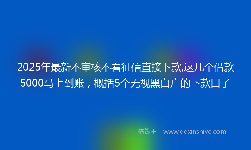2025年最新不审核不看征信直接下款,这几个借款5000马上到账，概括5个无视黑白户的下款口子
