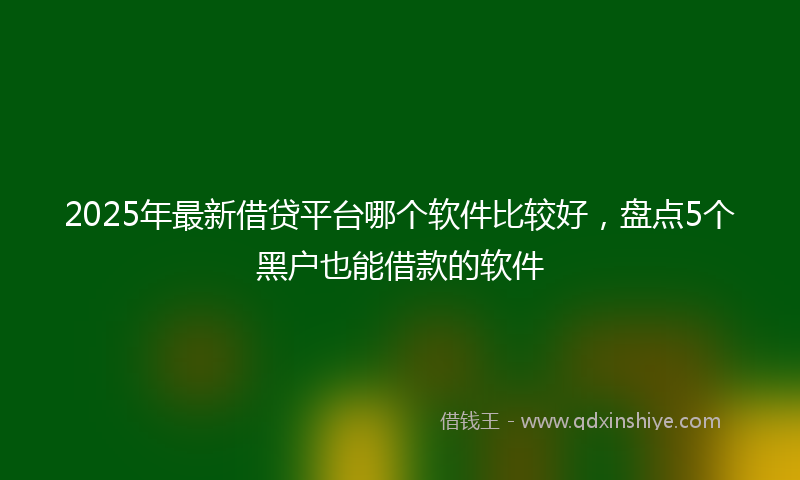 2025年最新借贷平台哪个软件比较好，盘点5个黑户也能借款的软件