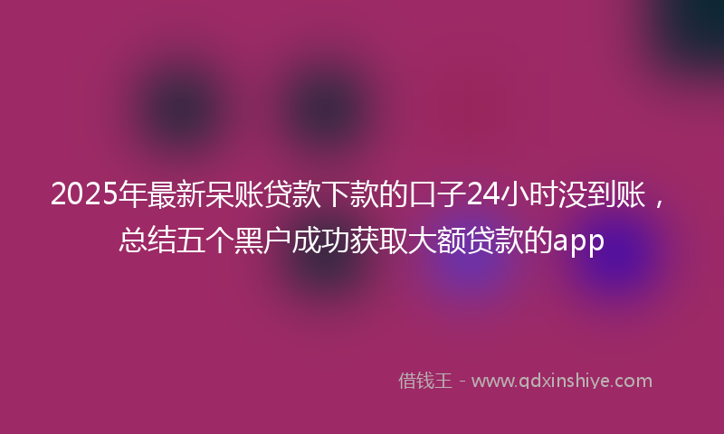 2025年最新呆账贷款下款的口子24小时没到账，总结五个黑户成功获取大额贷款的app