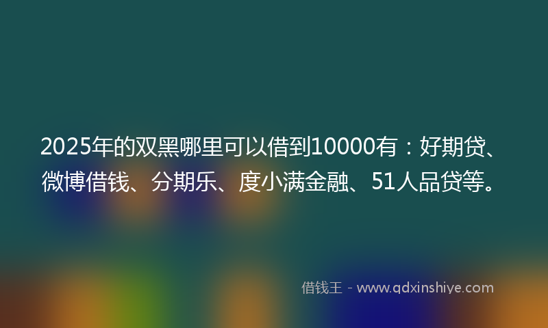 2025年的双黑哪里可以借到10000有：好期贷、微博借钱、分期乐、度小满金融、51人品贷等。
