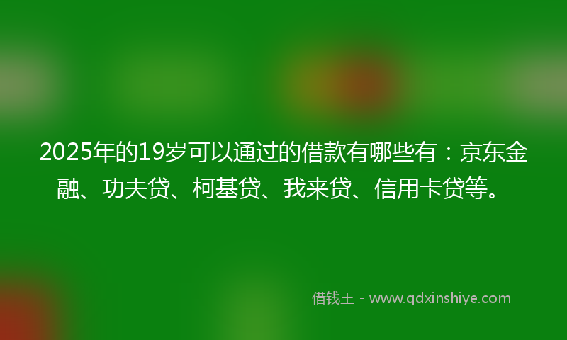 2025年的19岁可以通过的借款有哪些有：京东金融、功夫贷、柯基贷、我来贷、信用卡贷等。