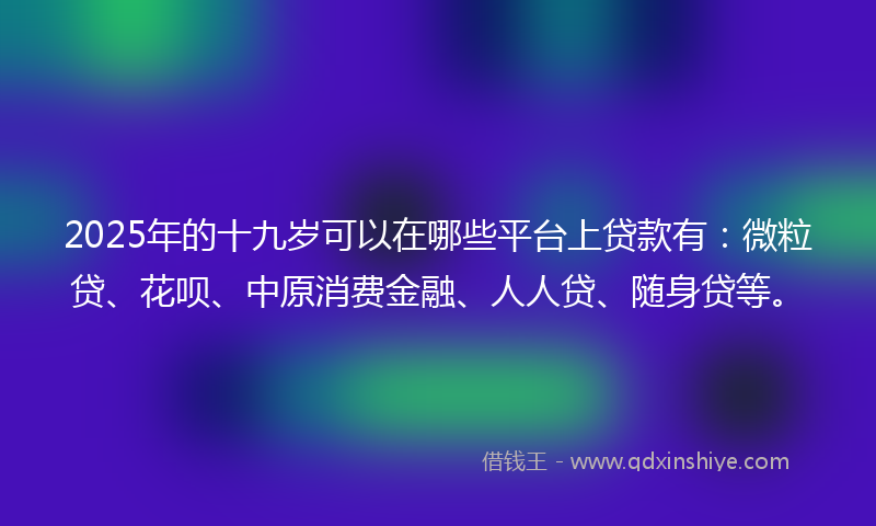 2025年的十九岁可以在哪些平台上贷款有：微粒贷、花呗、中原消费金融、人人贷、随身贷等。